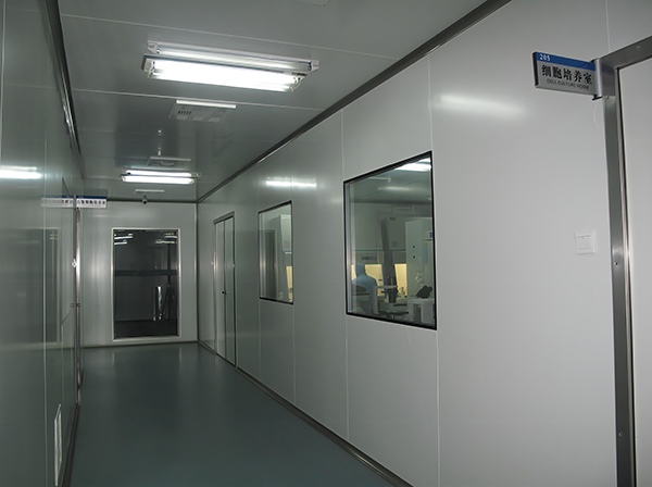 P2生物实验室墙面施工标准