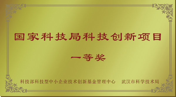 国家科技创新一等奖